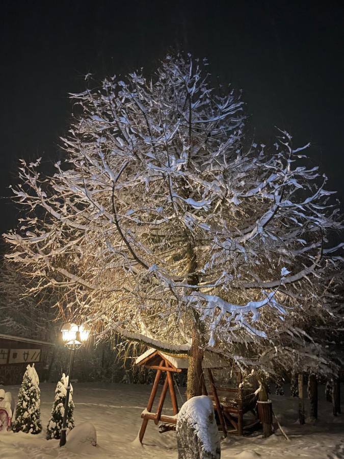 Cabana Din Groapa Frumoasa Rîşnov Buitenkant foto