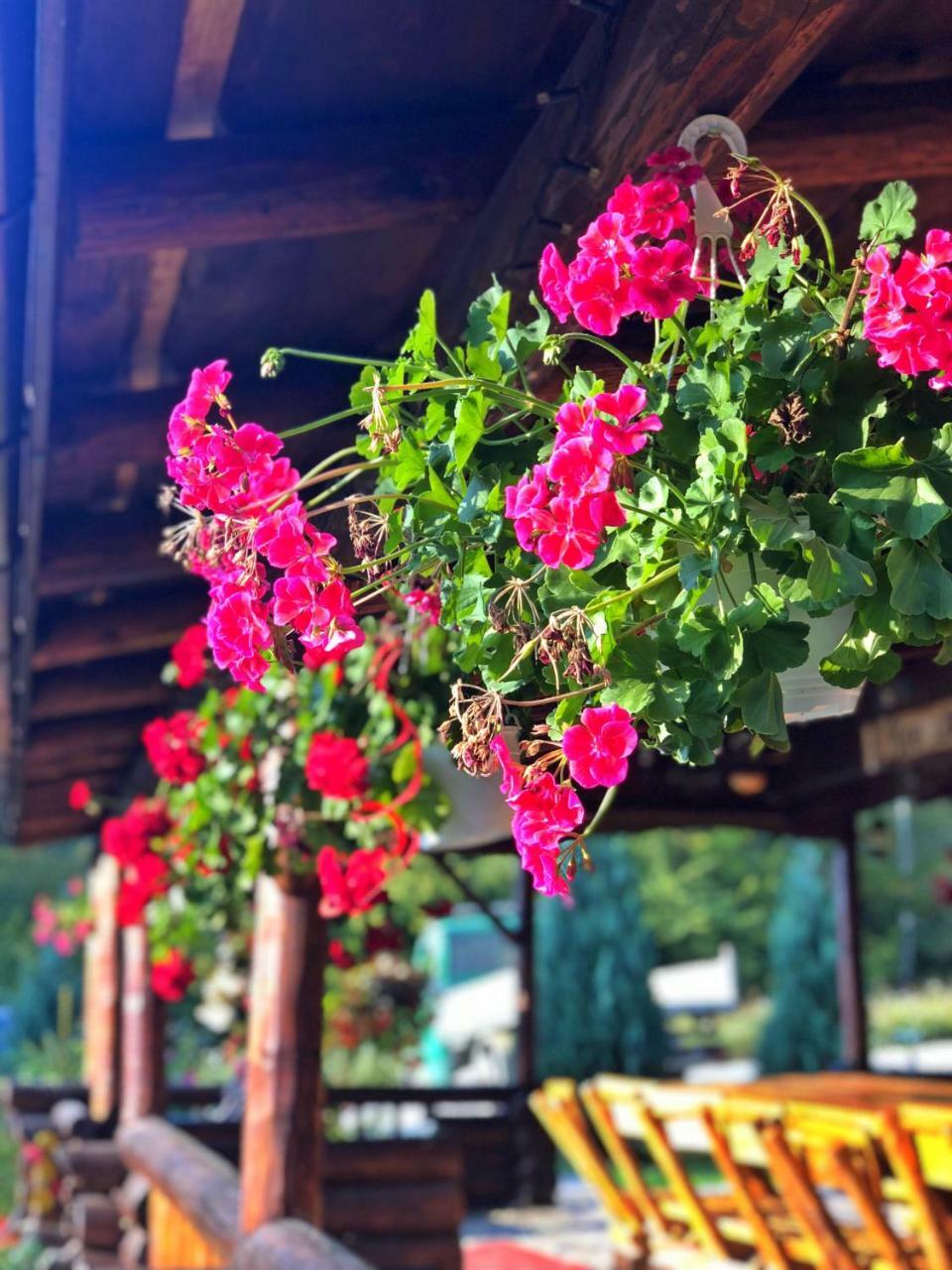 Cabana Din Groapa Frumoasa Rîşnov Buitenkant foto