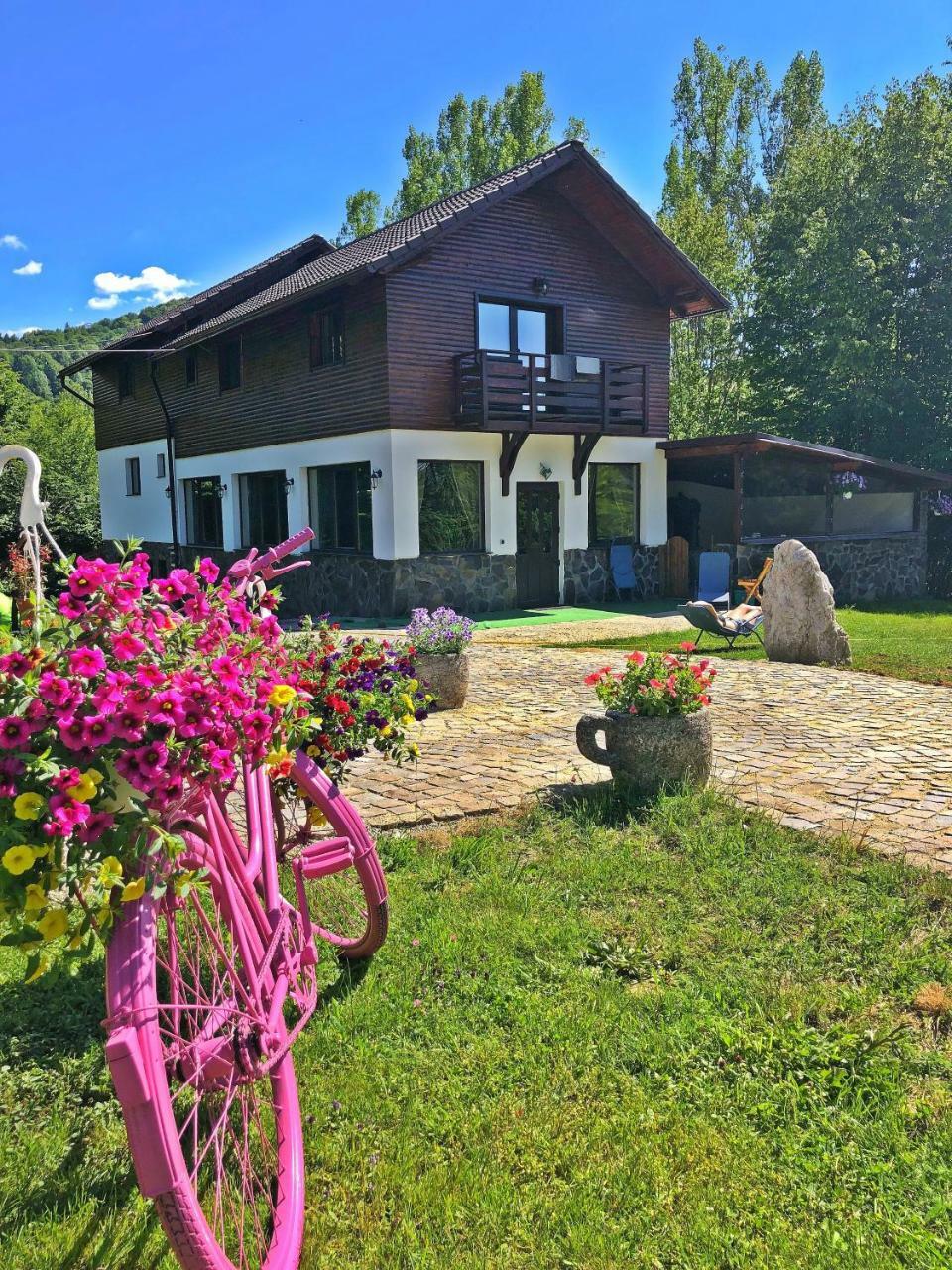 Cabana Din Groapa Frumoasa Rîşnov Buitenkant foto